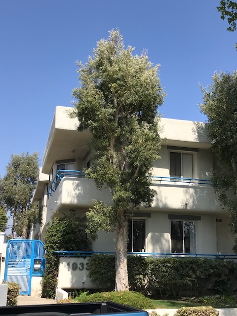 1933 18th St, Unit 202 in Santa Monica, CA - Building Photo - Building Photo