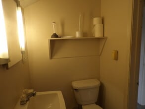 817 N Jefferson St, Unit 817 in Ionia, MI - Building Photo - Building Photo
