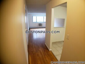 66 Homer Ave, Unit 309 in Cambridge, MA - Building Photo - Building Photo