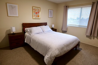 253 Castro St in San Leandro, CA - Foto de edificio - Building Photo