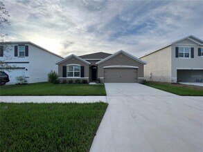 17031 Avon Dive Ln in Wimauma, FL - Building Photo - Building Photo