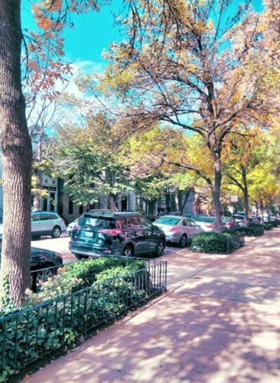1612 N Cleveland Ave in Chicago, IL - Foto de edificio - Building Photo