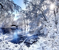 Alquileres en Roxbury, MA