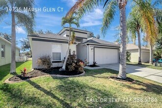 34736 Marsh Glen Ct in Zephyrhills, FL - Building Photo - Building Photo
