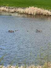 2134 South Broadway in De Pere, WI - Building Photo - Building Photo