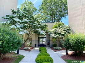 1204 Whitney Ave in Hamden, CT - Building Photo