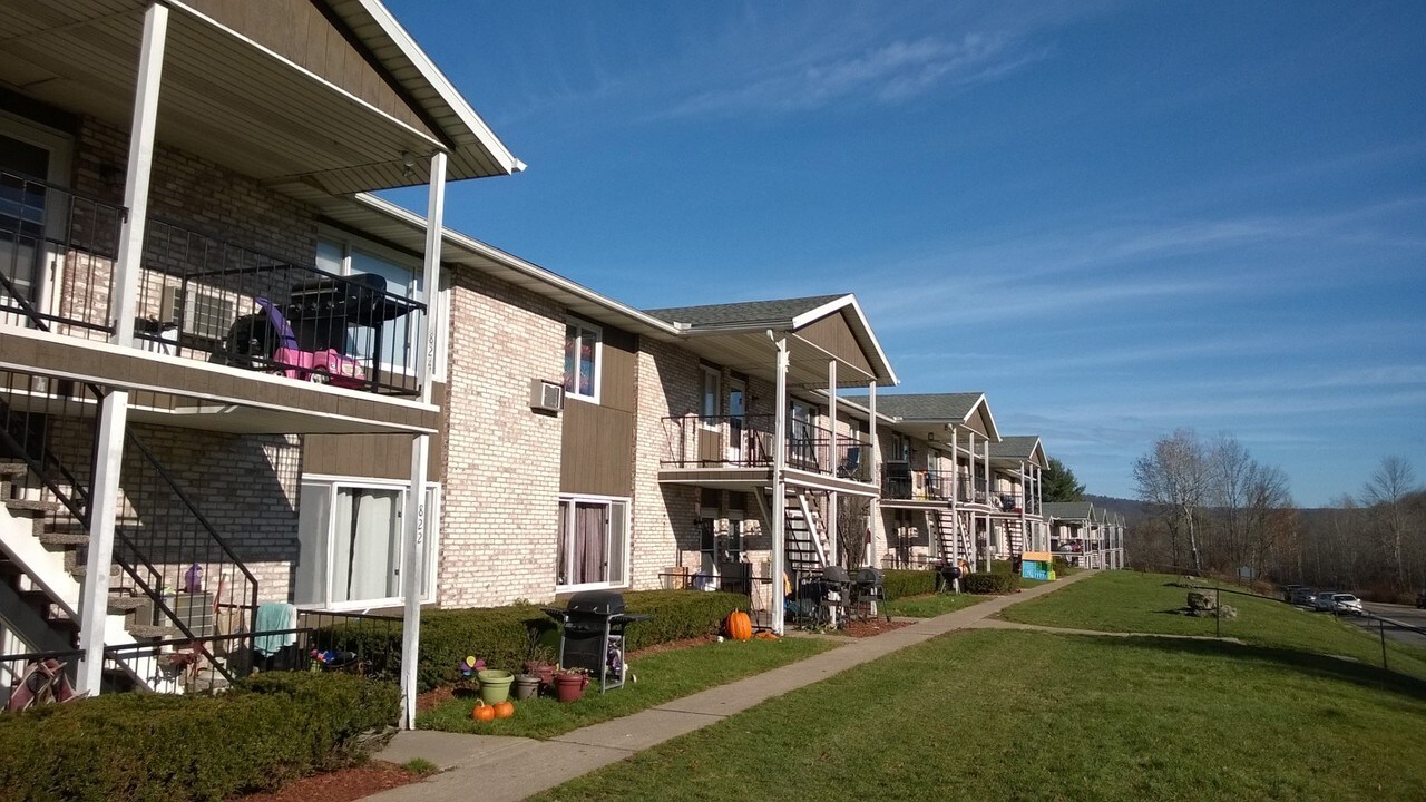 Stonehill Apartments in Sidney, NY - Building Photo