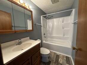 383 Lynn Dr in Manteno, IL - Building Photo - Building Photo