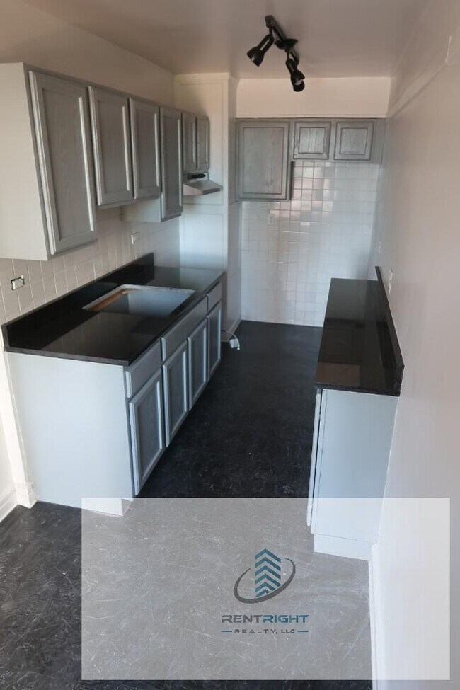 426 W Briar Pl in Chicago, IL - Building Photo - Building Photo