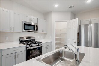 13300 Wildgrass Trl in Odessa, FL - Building Photo - Building Photo