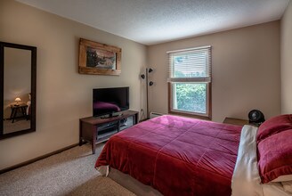 941 11th Ave S in Hopkins, MN - Building Photo - Building Photo