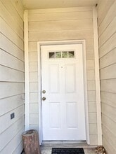 815 Forest Ivy Ln in Houston, TX - Building Photo - Building Photo