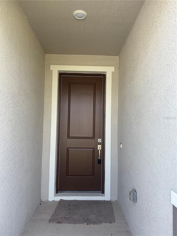 8001 Lennox Lp in Wesley Chapel, FL - Building Photo - Building Photo