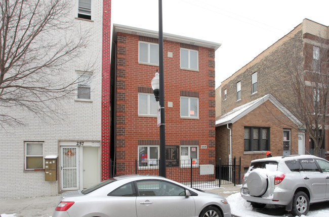 259 W 22nd Pl in Chicago, IL - Building Photo - Building Photo