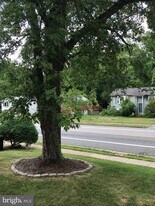 3622 Forestdale Ave in Woodbridge, VA - Building Photo
