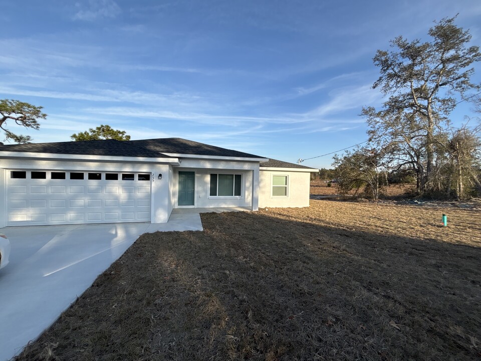 255 Malauka Loop in Ocklawaha, FL - Building Photo