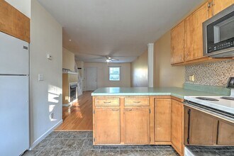 2305 S Greenwood Dr in Johnson City, TN - Building Photo - Building Photo