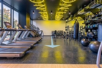 Jackson Apartments in Seattle, WA - Building Photo - Interior Photo