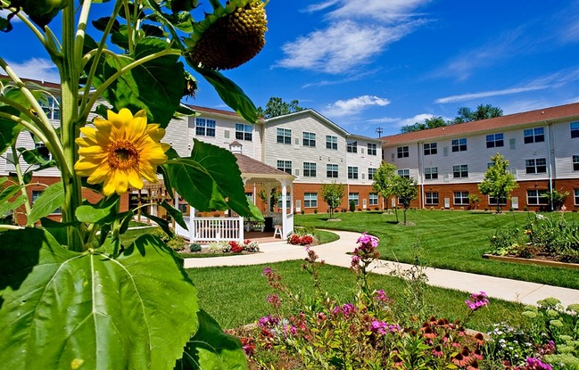 Moffett Manor Senior Apartments