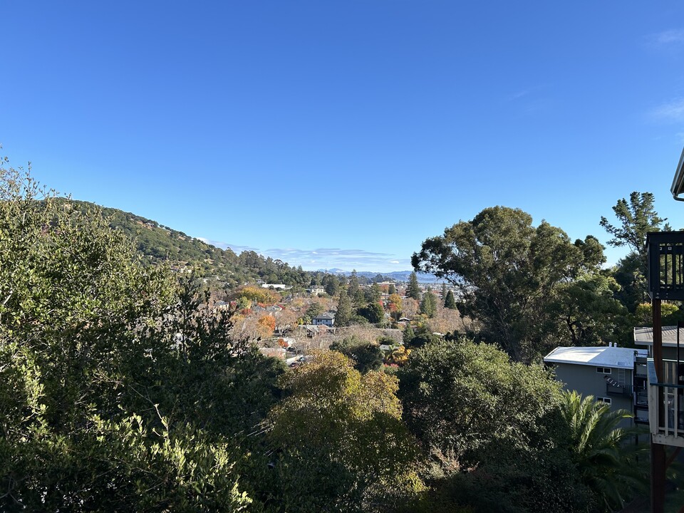 49 Bayo Vista Way in San Rafael, CA - Building Photo