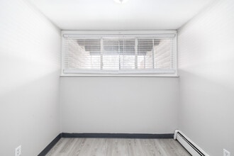 Pine Tree in Liverpool, NY - Building Photo - Interior Photo