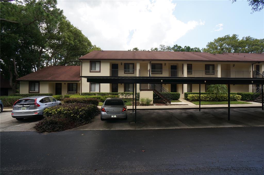 3590 Magnolia Ridge Cir in Palm Harbor, FL - Building Photo