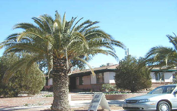 930 N 7th Ave in Tucson, AZ - Building Photo - Building Photo