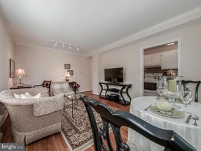 2310 Ashmead Pl NW in Washington, DC - Building Photo - Building Photo