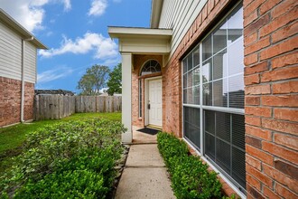 19619 Tigris Springs Cir in Katy, TX - Building Photo - Building Photo