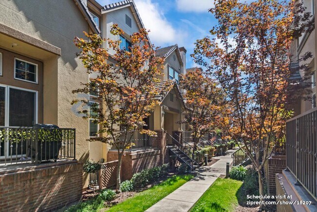 1057 Tourmaline Terrace in Union City, CA - Building Photo - Building Photo