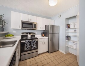 456 E Ohio St in Chicago, IL - Building Photo - Building Photo