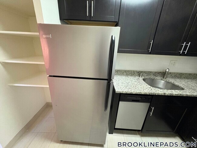 175 Freeman St in Brookline, MA - Building Photo - Building Photo