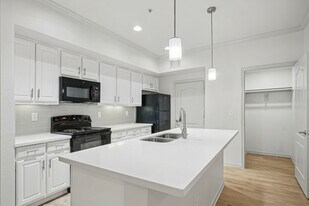 The Henry at Jones Road in Houston, TX - Building Photo