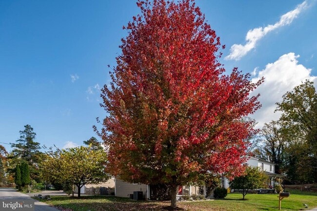 property at 2201 Alvin Ave