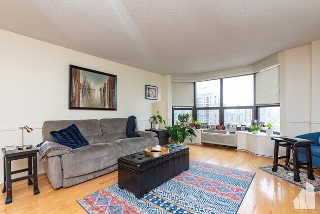 899 S Plymouth Ct in Chicago, IL - Building Photo - Building Photo