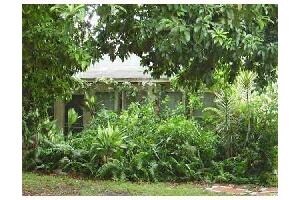 2135-2237 Washington St in Hollywood, FL - Building Photo