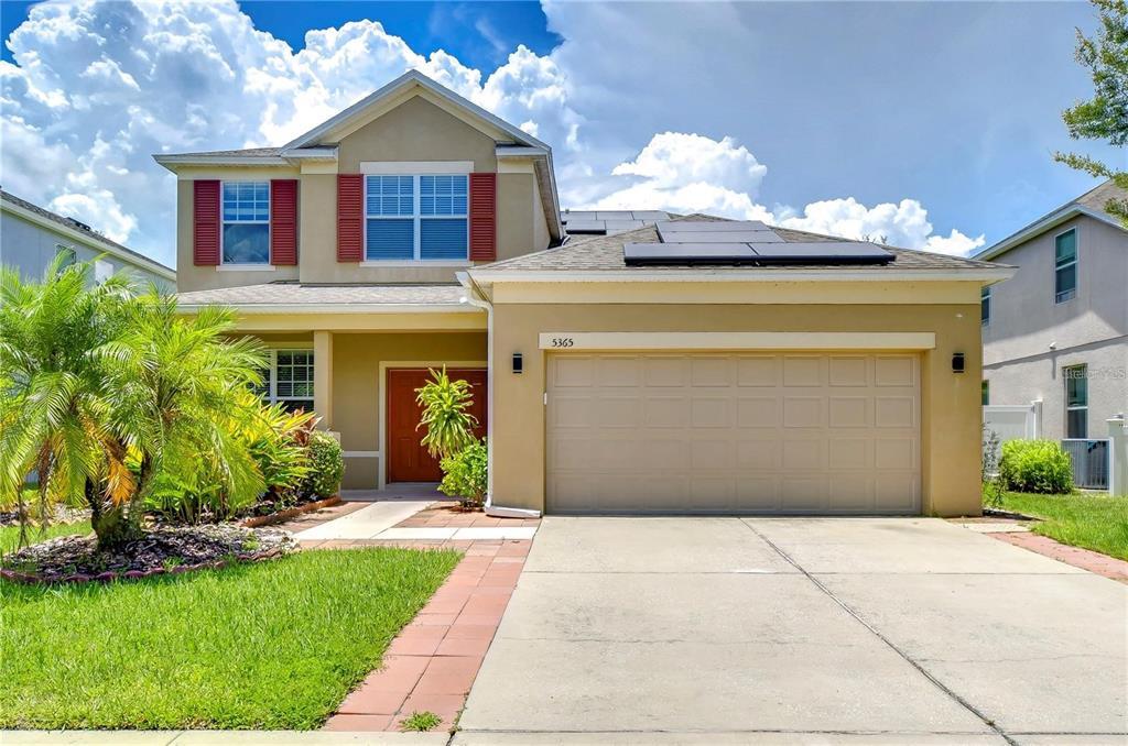 5365 Shasta Daisy Pl in Land O Lakes, FL - Building Photo