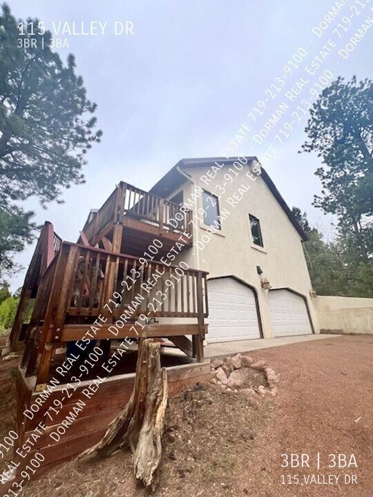115 Valley Dr in Divide, CO - Building Photo
