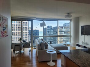 250 E Pearson St in Chicago, IL - Building Photo - Building Photo
