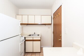 815 W Cornelia Ave in Chicago, IL - Building Photo - Building Photo