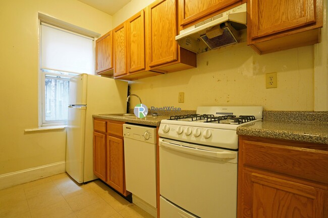 11 Royce Rd in Boston, MA - Building Photo - Building Photo