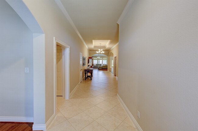 13506 White Cloud Ct in Pearland, TX - Building Photo - Building Photo