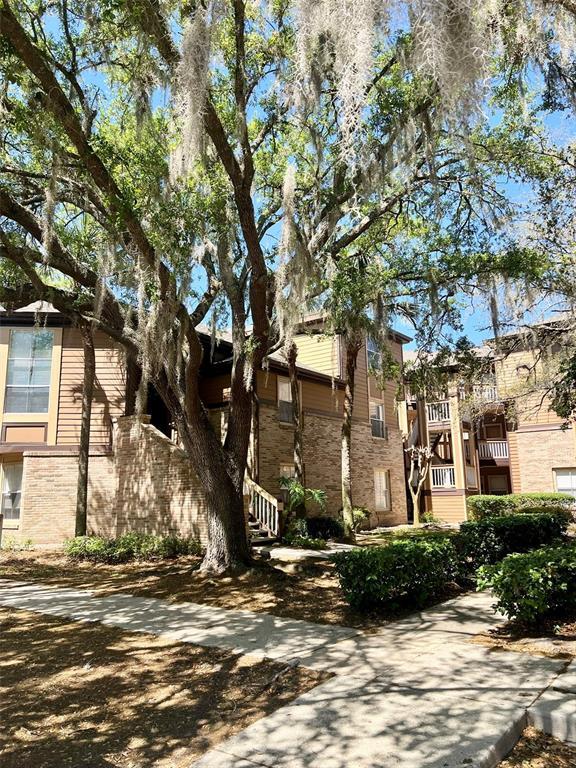 486 N Pin Oak Pl in Longwood, FL - Building Photo - Building Photo