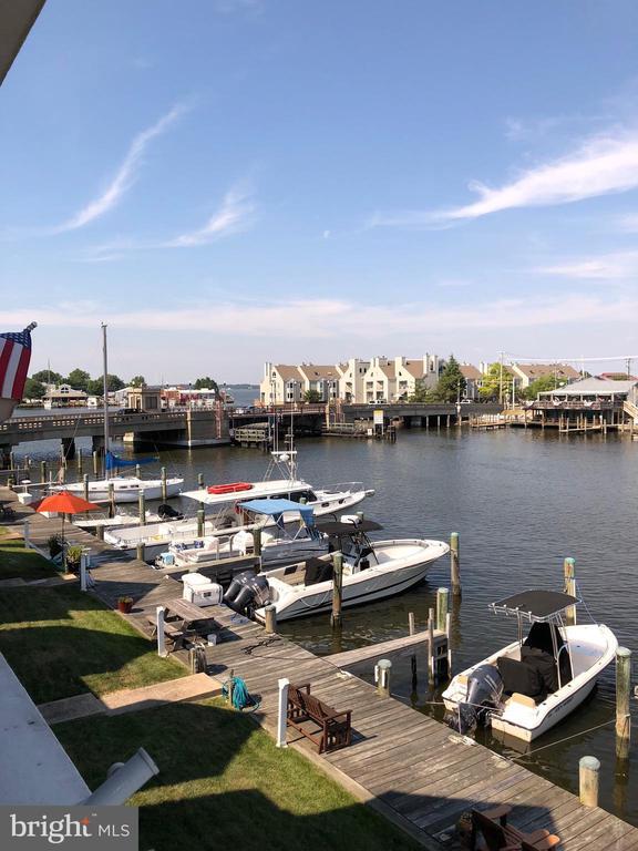 204 Market Square in Cambridge, MD - Building Photo - Building Photo