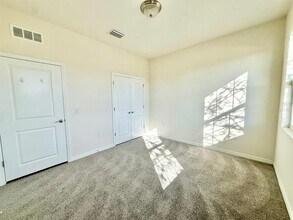 31591 Tansy Bnd in Wesley Chapel, FL - Building Photo - Building Photo