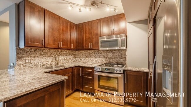 253 E Delaware Pl in Chicago, IL - Building Photo - Building Photo