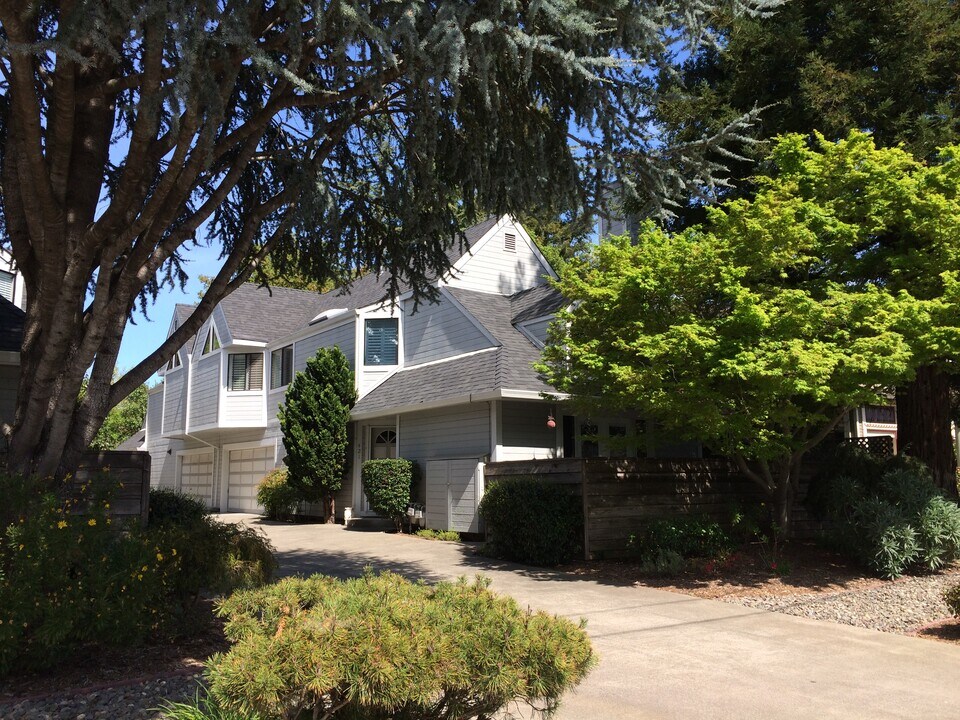 419 Matheson Street in Healdsburg, CA - Foto de edificio