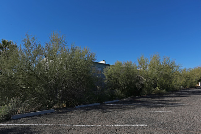 2779 W Anklam Rd in Tucson, AZ - Building Photo - Building Photo