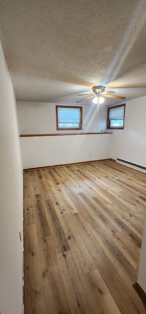 219 2nd St NE in Blooming Prairie, MN - Building Photo - Building Photo