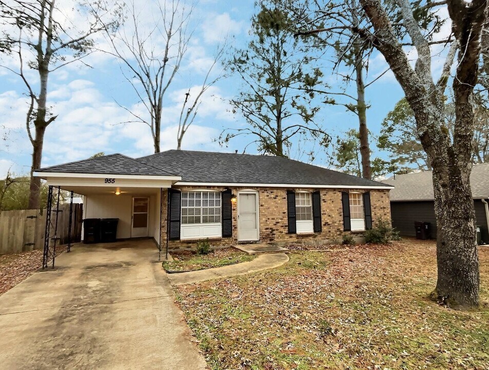 955 Poplar Leaf Rd in Collierville, TN - Building Photo